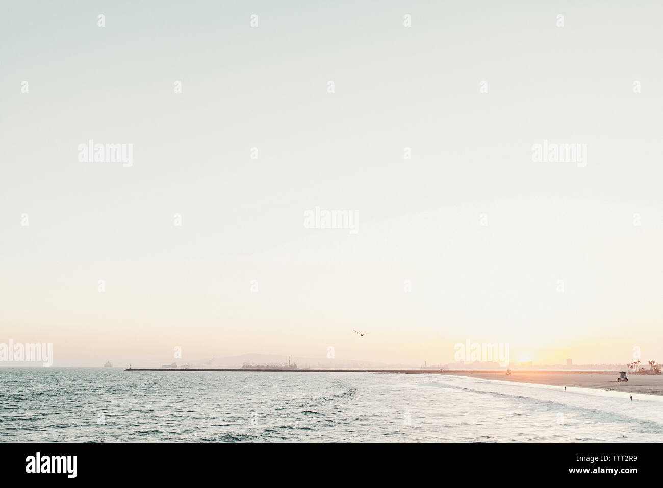 Vue panoramique de la plage contre ciel clair pendant le coucher du soleil Banque D'Images