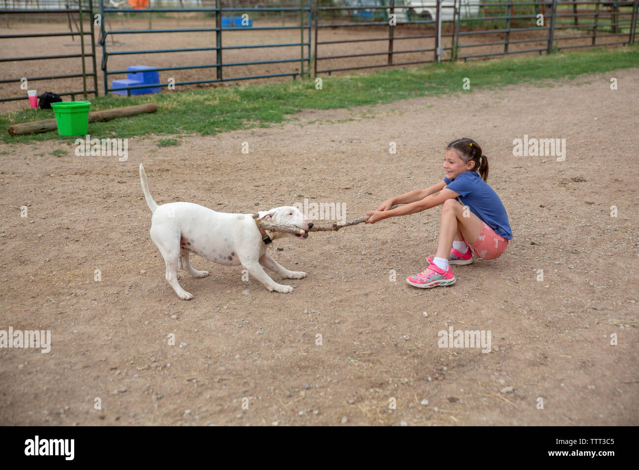 Voir l'ange haut de happy girl Playing with dog sur terrain à barn Banque D'Images