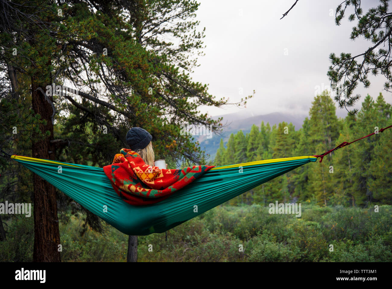 Rear view of woman relaxing on hammock in forest Banque D'Images