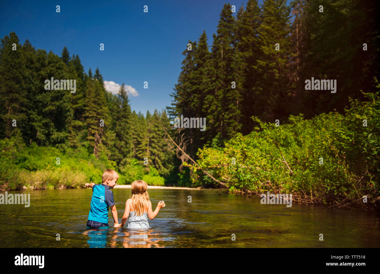 Vue arrière de la fratrie debout dans la forêt nationale d'Okanogan à rivière Banque D'Images