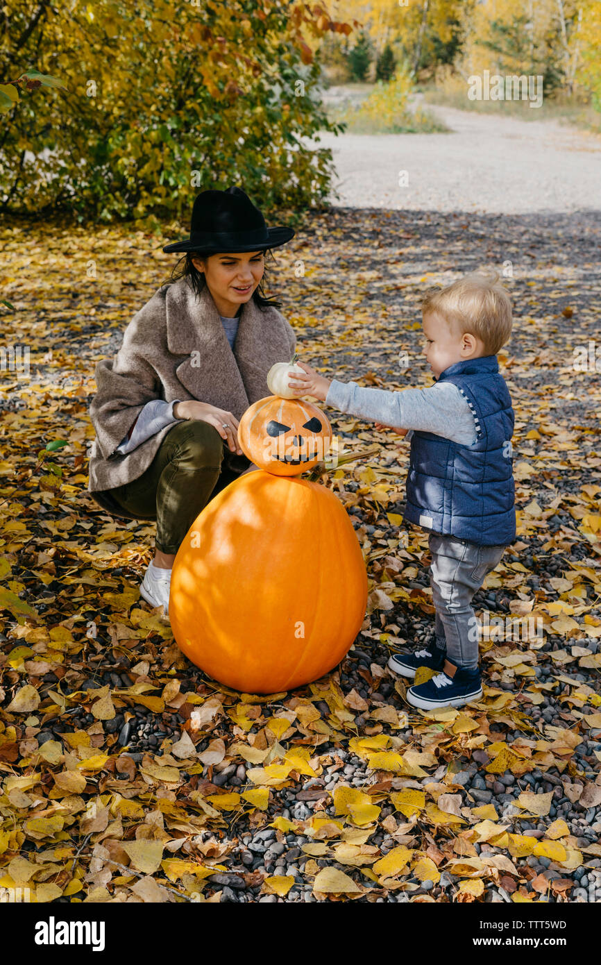 Mère avec fils decorating jack o lantern dans le parc en automne Banque D'Images