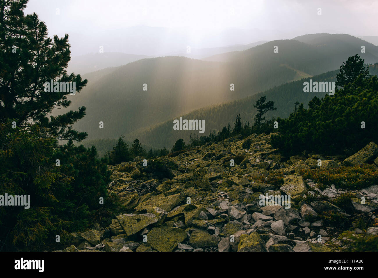 Vue panoramique des montagnes de rochers et d'arbres contre le ciel Banque D'Images