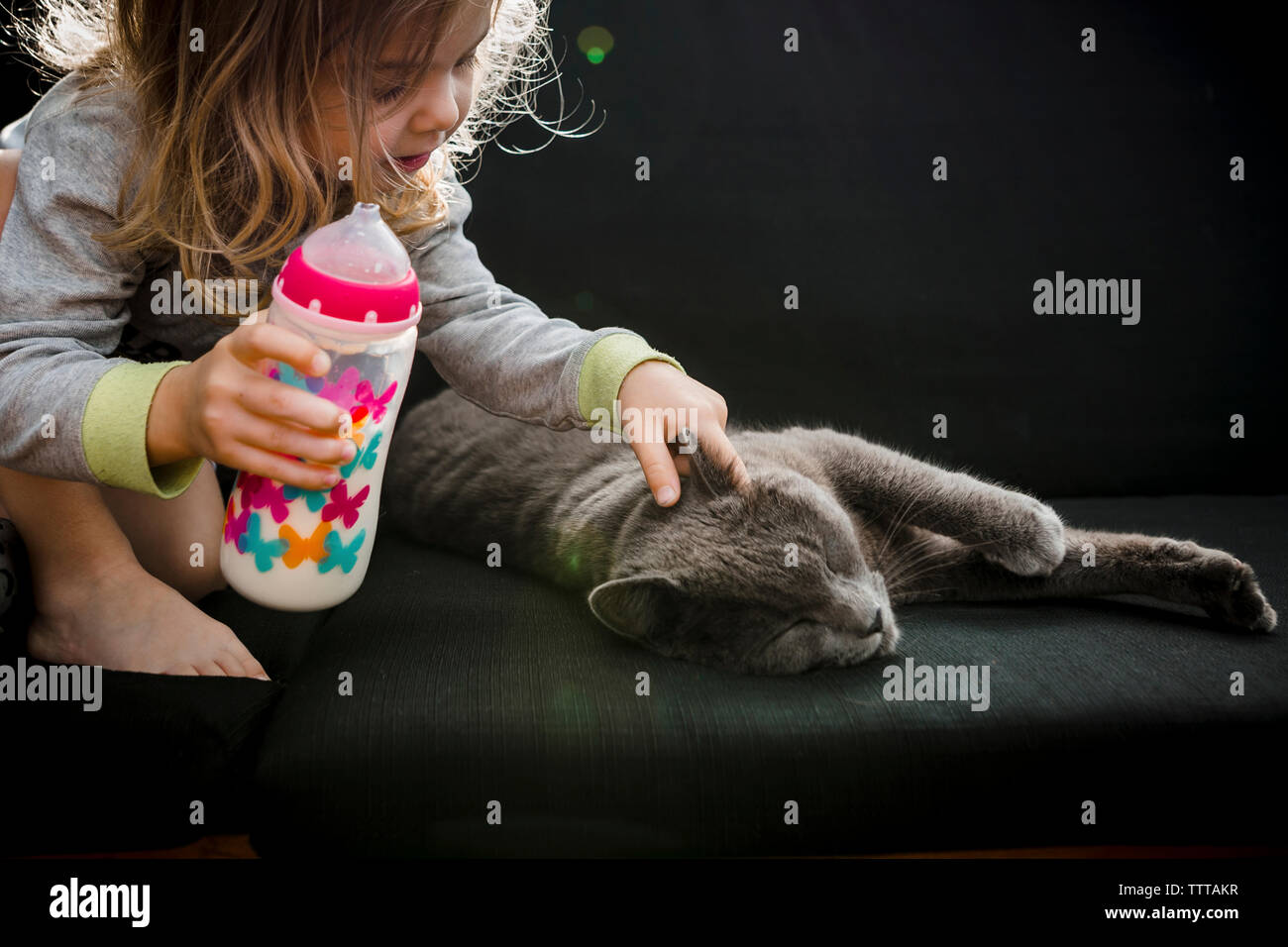 Bébé fille tapotant son chat gris animal de compagnie tout en buvant du lait outdoor Banque D'Images