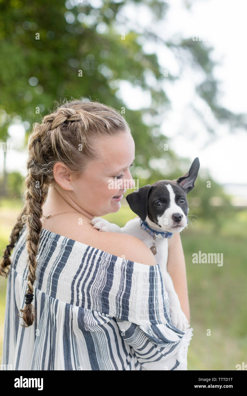 Chien avec les oreilles tombantes Banque D'Images