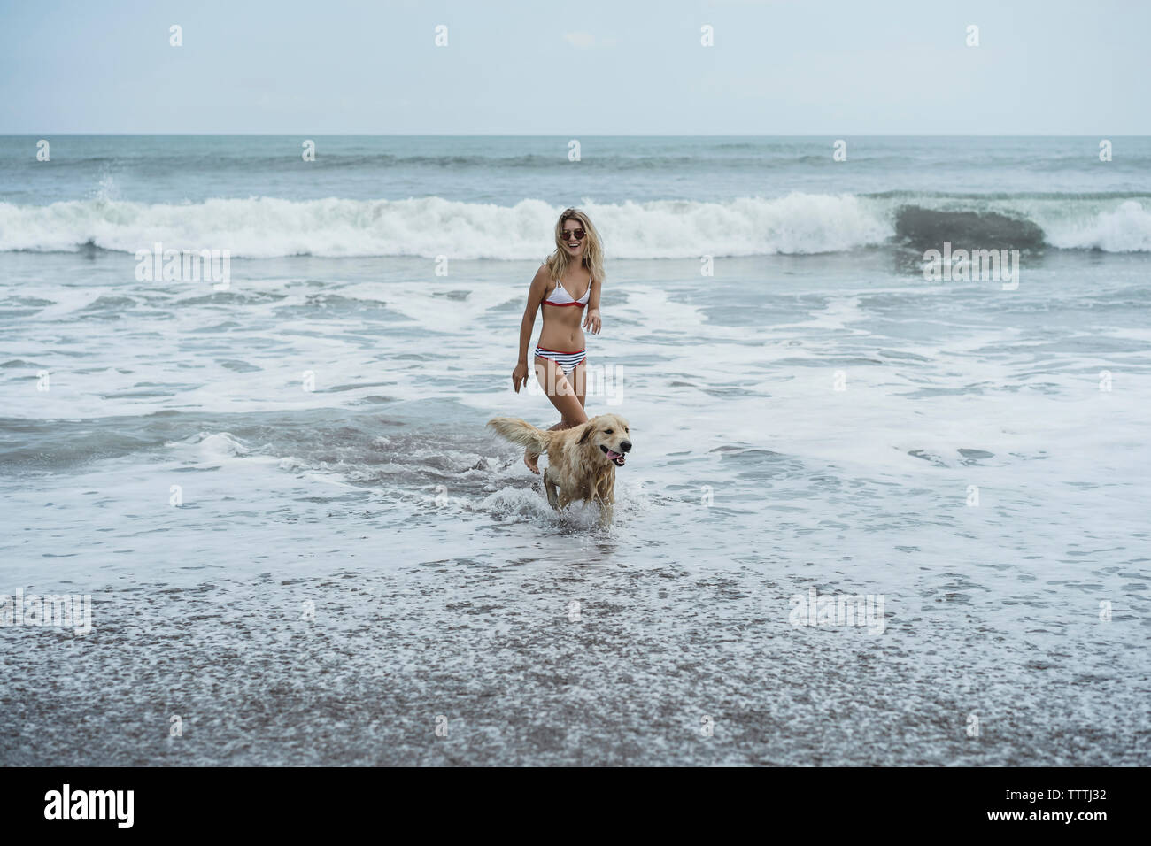 Femme et Labrador Retriever marche sur la rive en mer à beach Banque D'Images