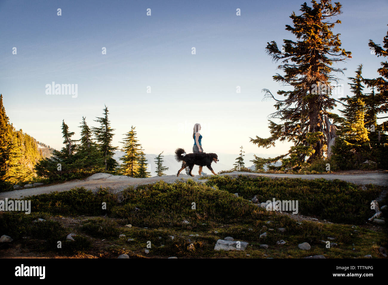Vue latérale du woman walking with dog on mountain Banque D'Images