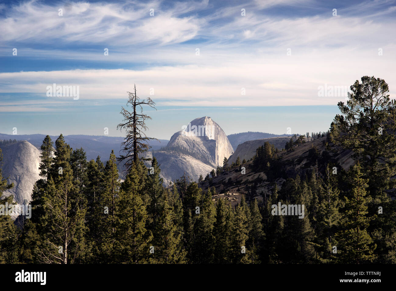 Vue panoramique sur les arbres et les montagnes contre ciel nuageux Banque D'Images