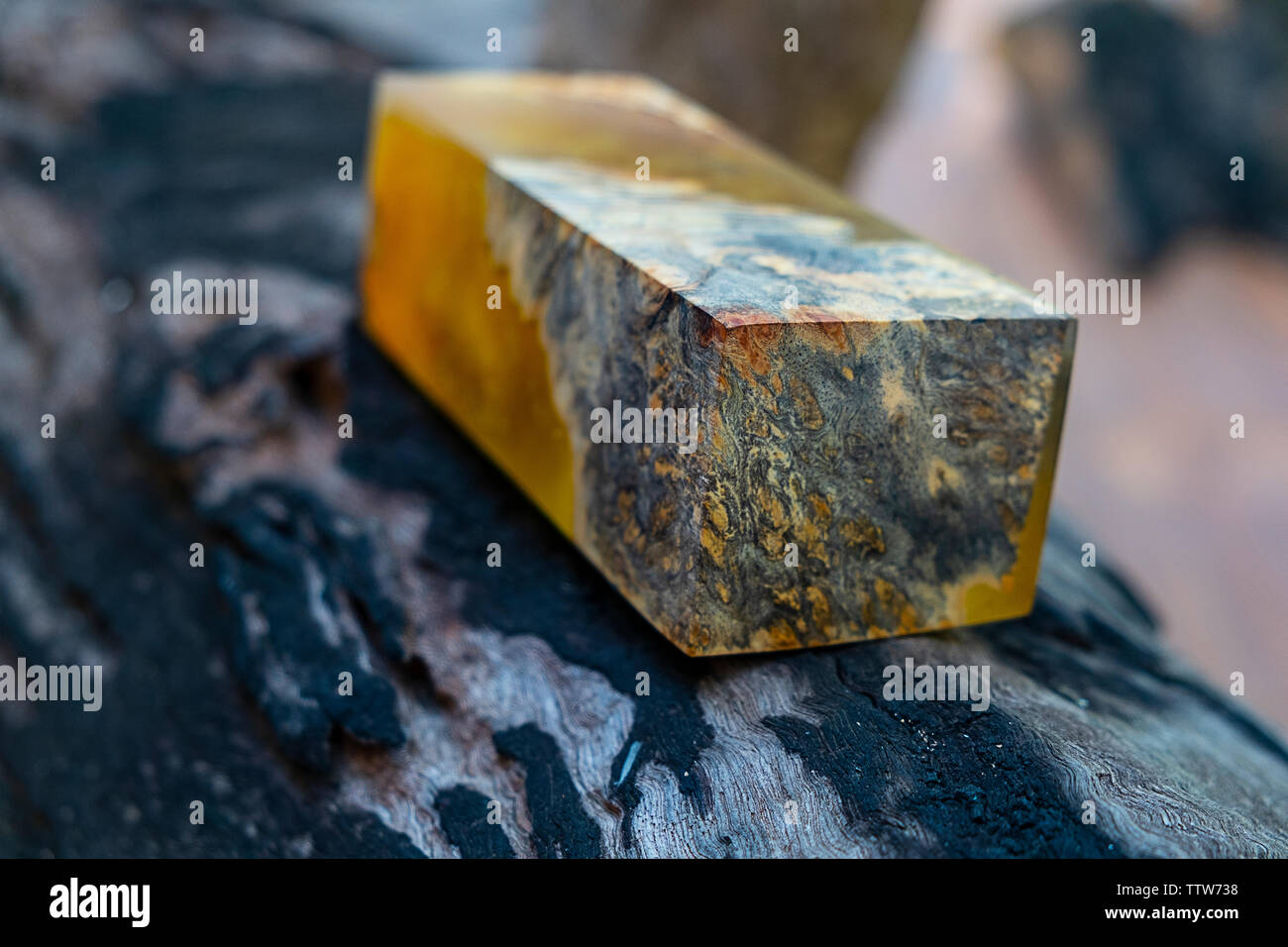 Bois noueux de résine de coulée Banque D'Images