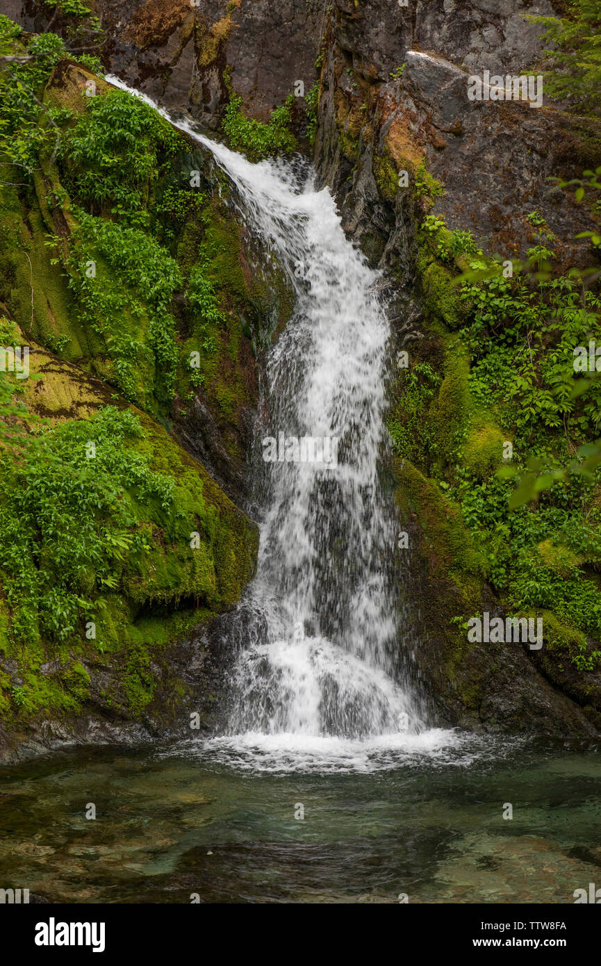 Sullivan Creek Falls, une charmante petite forêt juste à côté de la vue Service Road # 2207 dans l'Opal Creek Recreation Area pittoresque près de Mehama, Oregon Banque D'Images