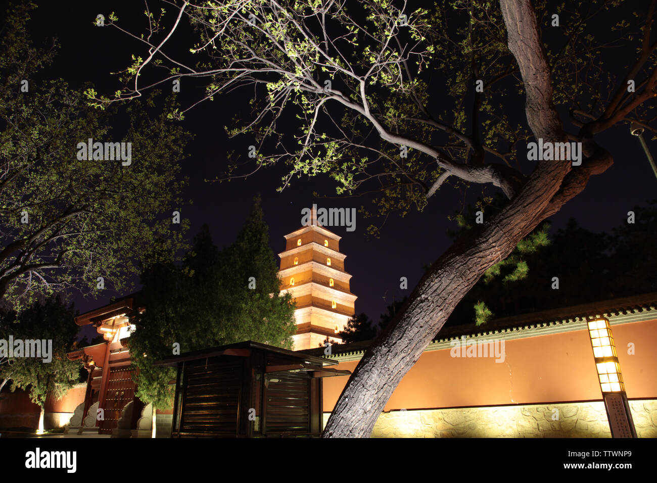 Vue de la nuit de la Grande Pagode de l'Oie Sauvage à Xi'an, province du Shaanxi Banque D'Images