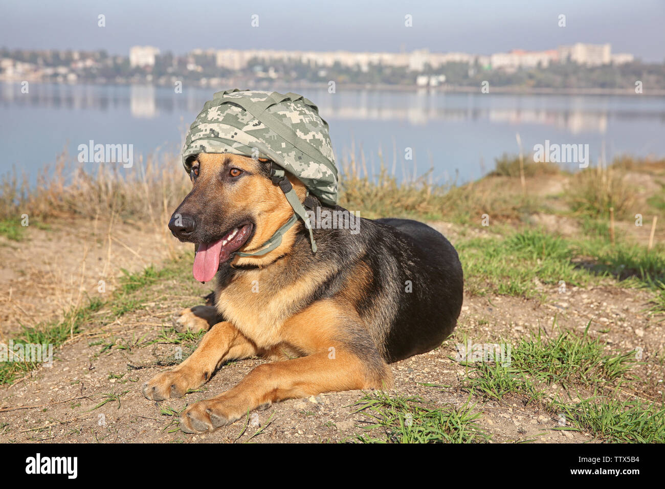 Berger allemand mignon avec casque militaire allongé sur river bank Banque D'Images
