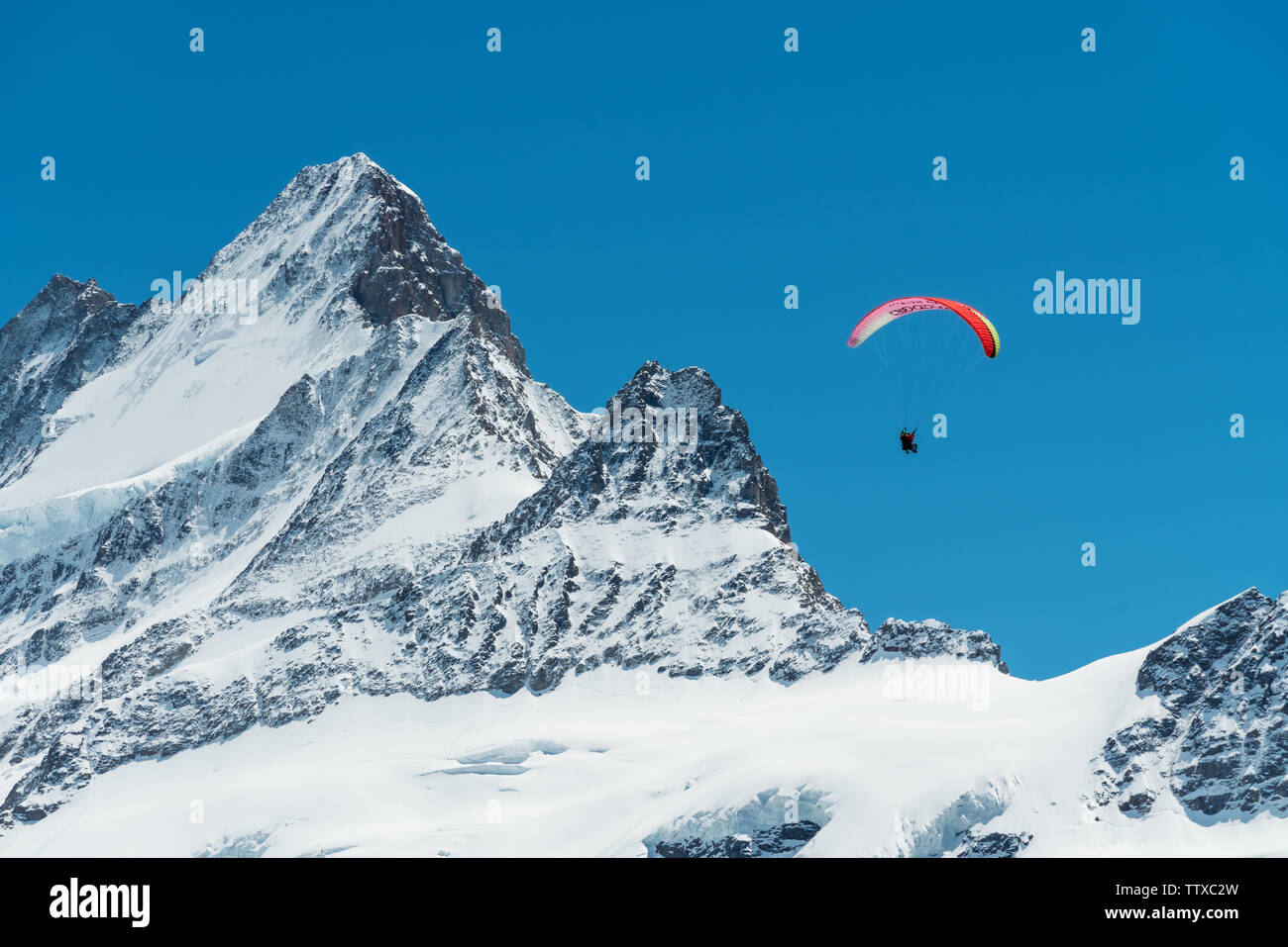 Alpes plein de neige avec ciel bleu et le parapente sur l'air en été à la Suisse Banque D'Images