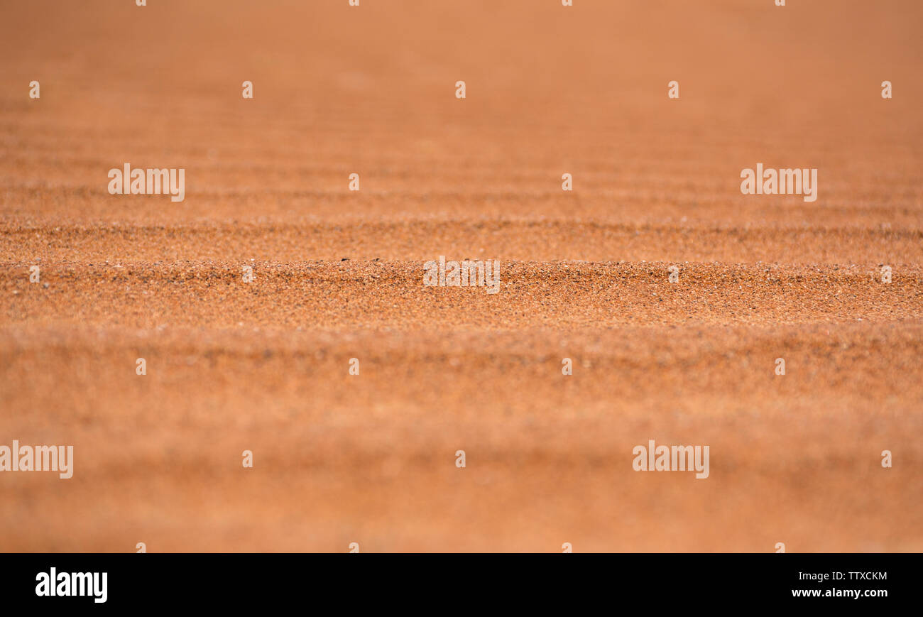 Libre tourné de belles dunes de sable du désert de sable du désert de l'ombre d'orange texture background Banque D'Images