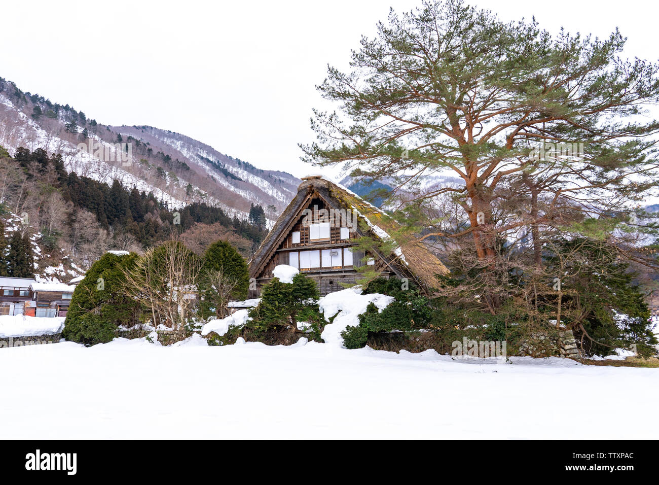 La saison d'hiver au village de Shirakawa-go, Gifu, Japon. Banque D'Images