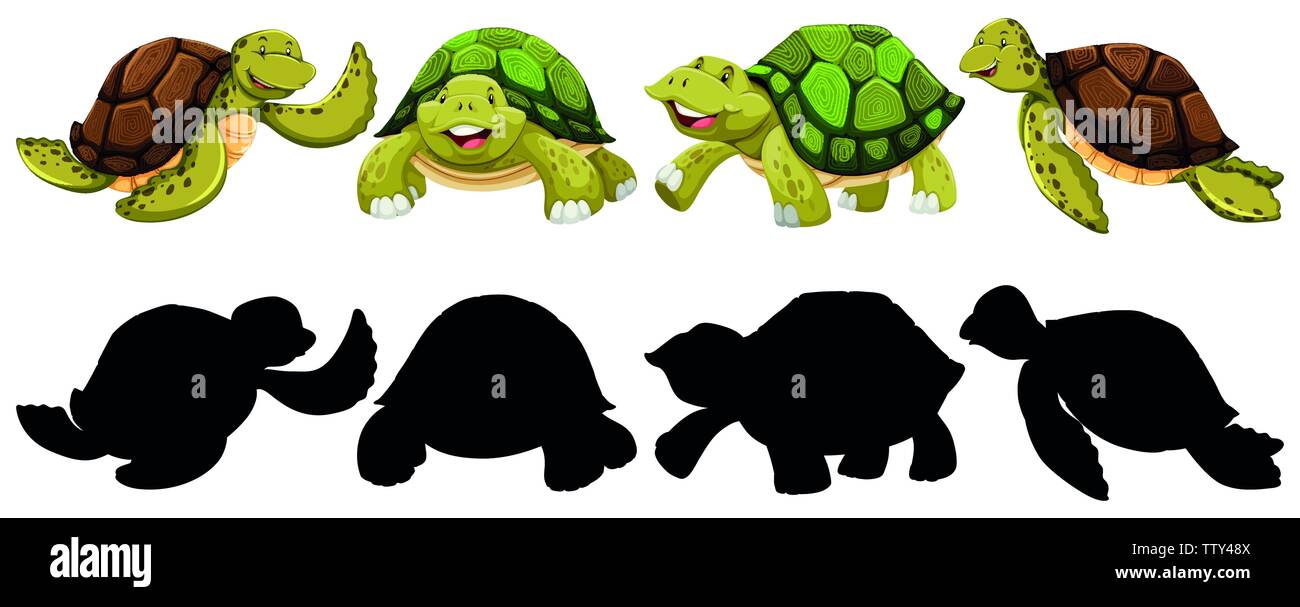 Ensemble de caractère tortue illustration Illustration de Vecteur