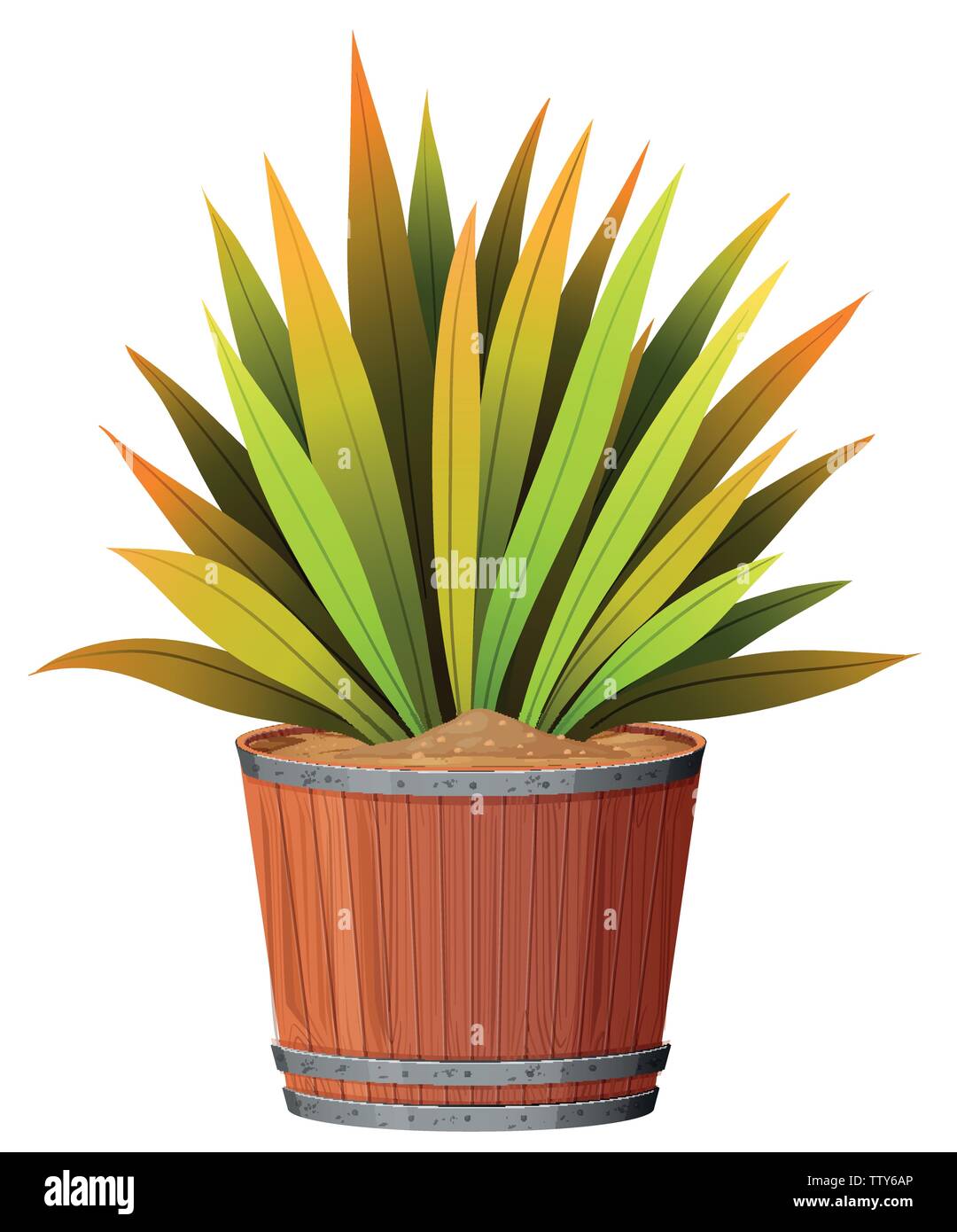 Une plante en pot teh illustration Illustration de Vecteur
