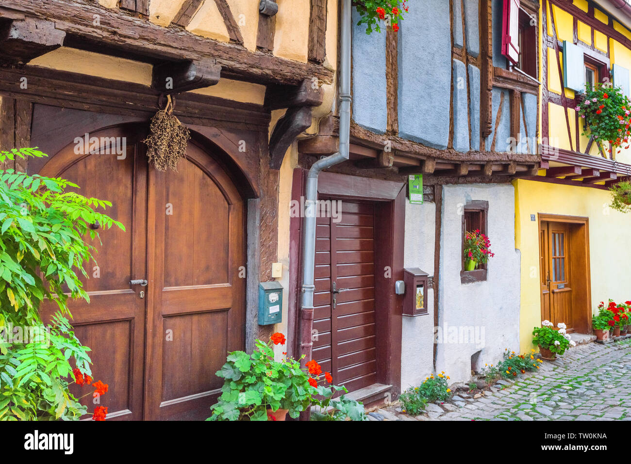 Vieilles maisons colorées d'Eguisheim, Alsace, France, architecture à ossature bois sur la lane Banque D'Images