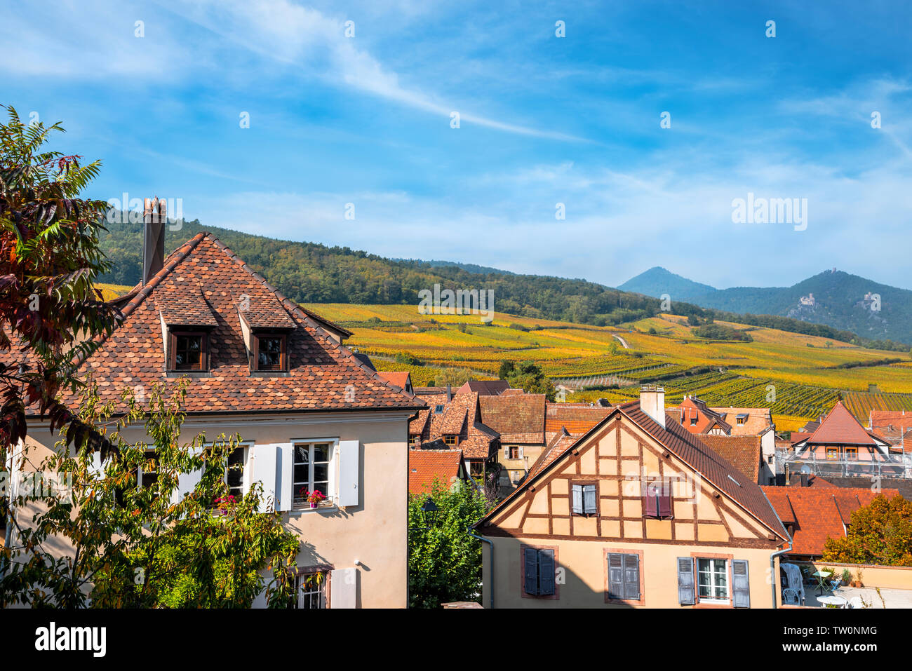 Vue sur village Hunawihr et vignobles environnants, Alsace, France, trois châteaux de Ribeauvillé sur l'arrière-plan droit Banque D'Images