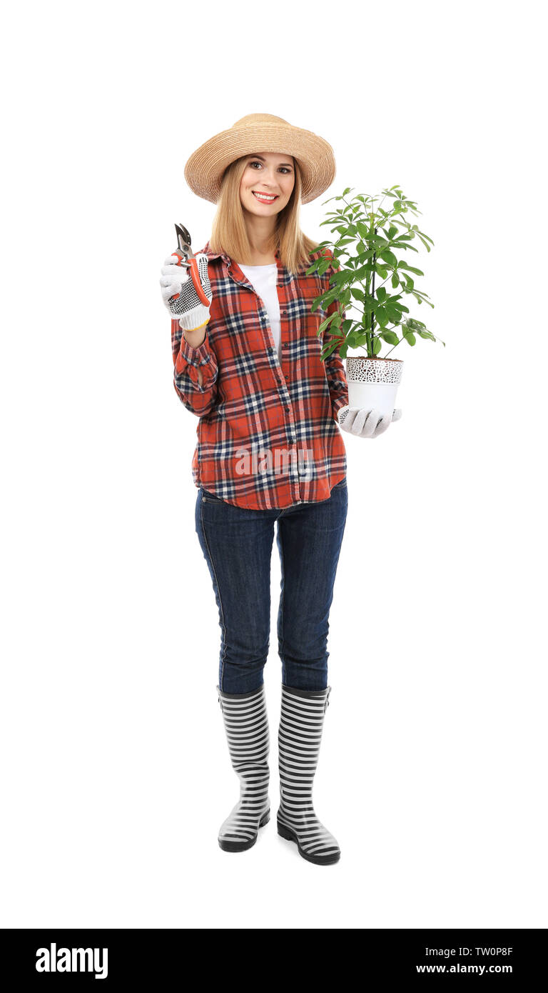Female florist holding de plante et sécateurs isolé sur fond blanc Banque D'Images