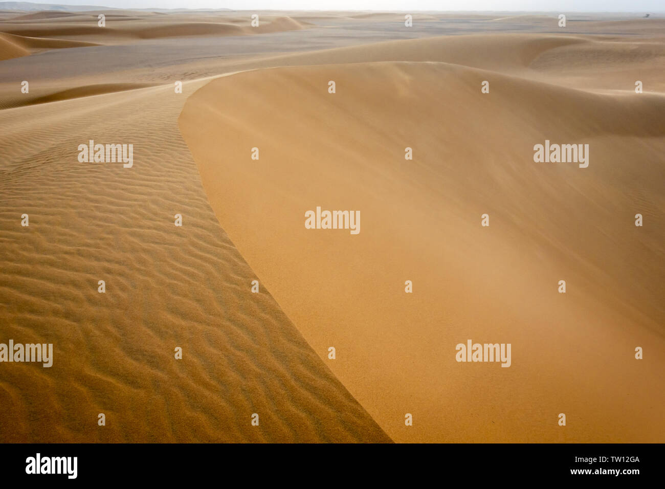 Résumé de droit de la surface d'une dune en pente dans le Sahara au Soudan, Afrique Banque D'Images