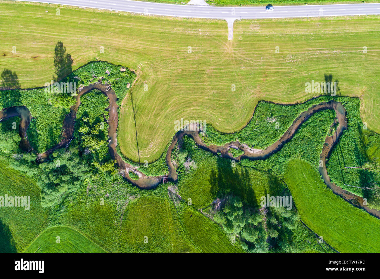 Allemagne, Bavière, Allgäu, vue aérienne des méandres de la rivière Guenz Banque D'Images