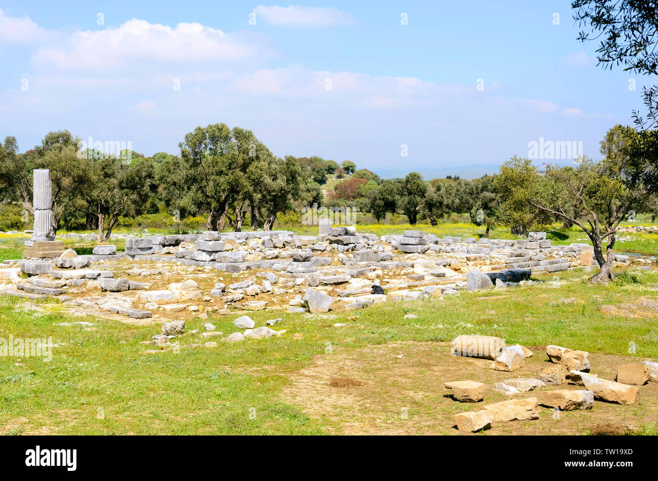Ruines de Teos ville ancienne. Sigacik, Seferihisar, Izmir, Turquie Banque D'Images