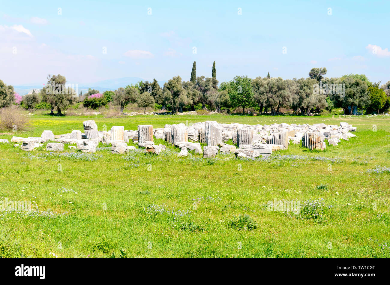 Ruines de Teos ville ancienne. Sigacik, Seferihisar, Izmir, Turquie Banque D'Images