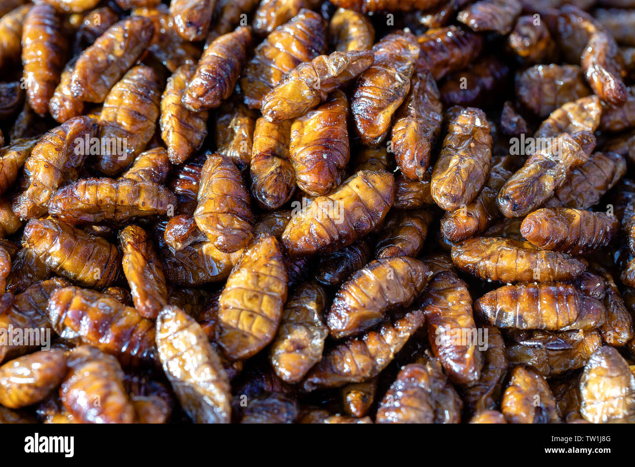 Les vers à soie frit délicieux dans l'alimentation de rue en Thaïlande. Ils sont frits jusqu'à atteindre un état complet de la croustillance, fortement salé, et mangé comme Banque D'Images