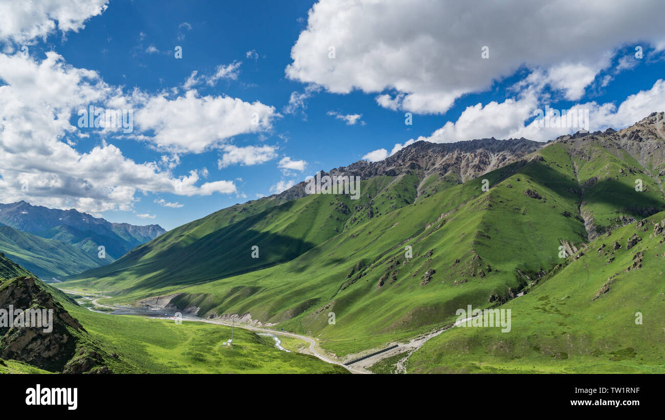 Les prairies alpines le long de la G217 Duku sous l'autoroute l'été, ciel bleu et nuages blancs dans le Xinjiang, Chine Banque D'Images