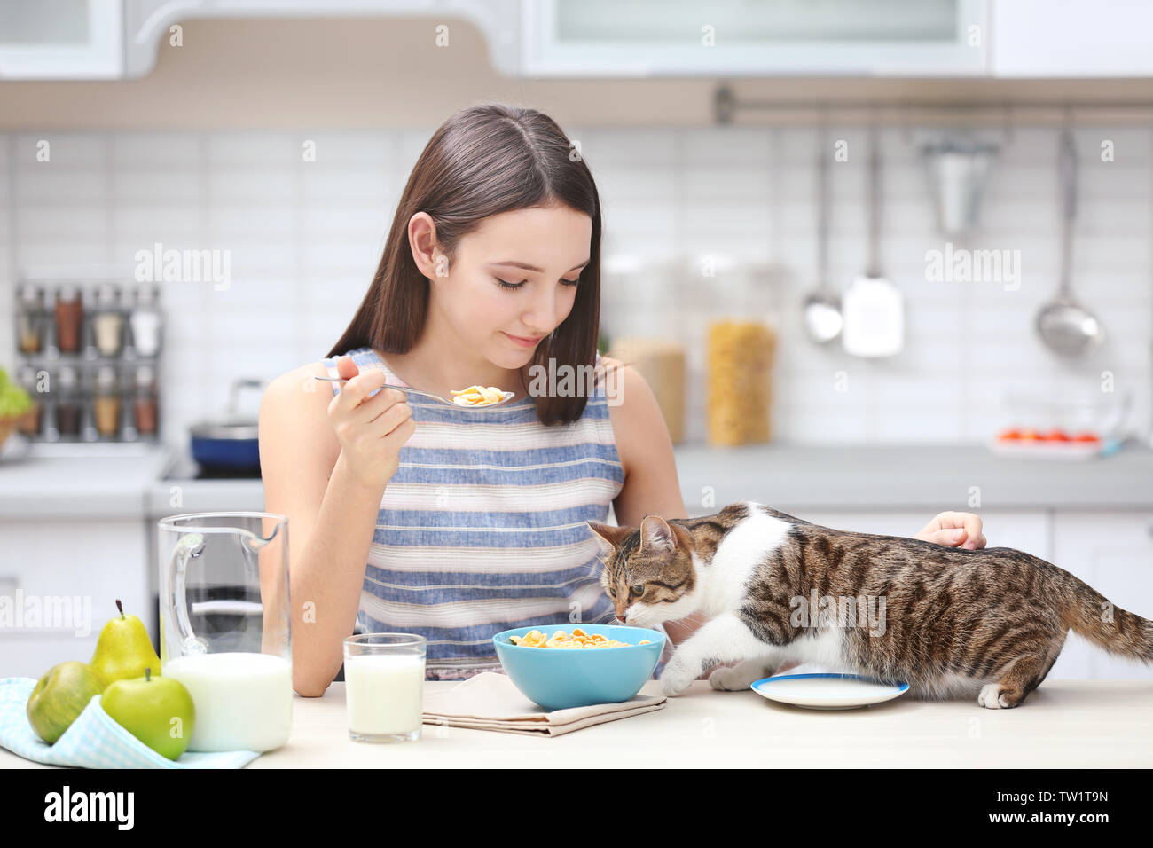 Matin de belle jeune femme et de chat dans la cuisine Banque D'Images