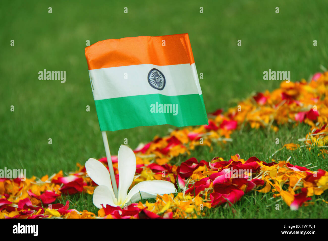Gros plan d'un drapeau indien Banque D'Images