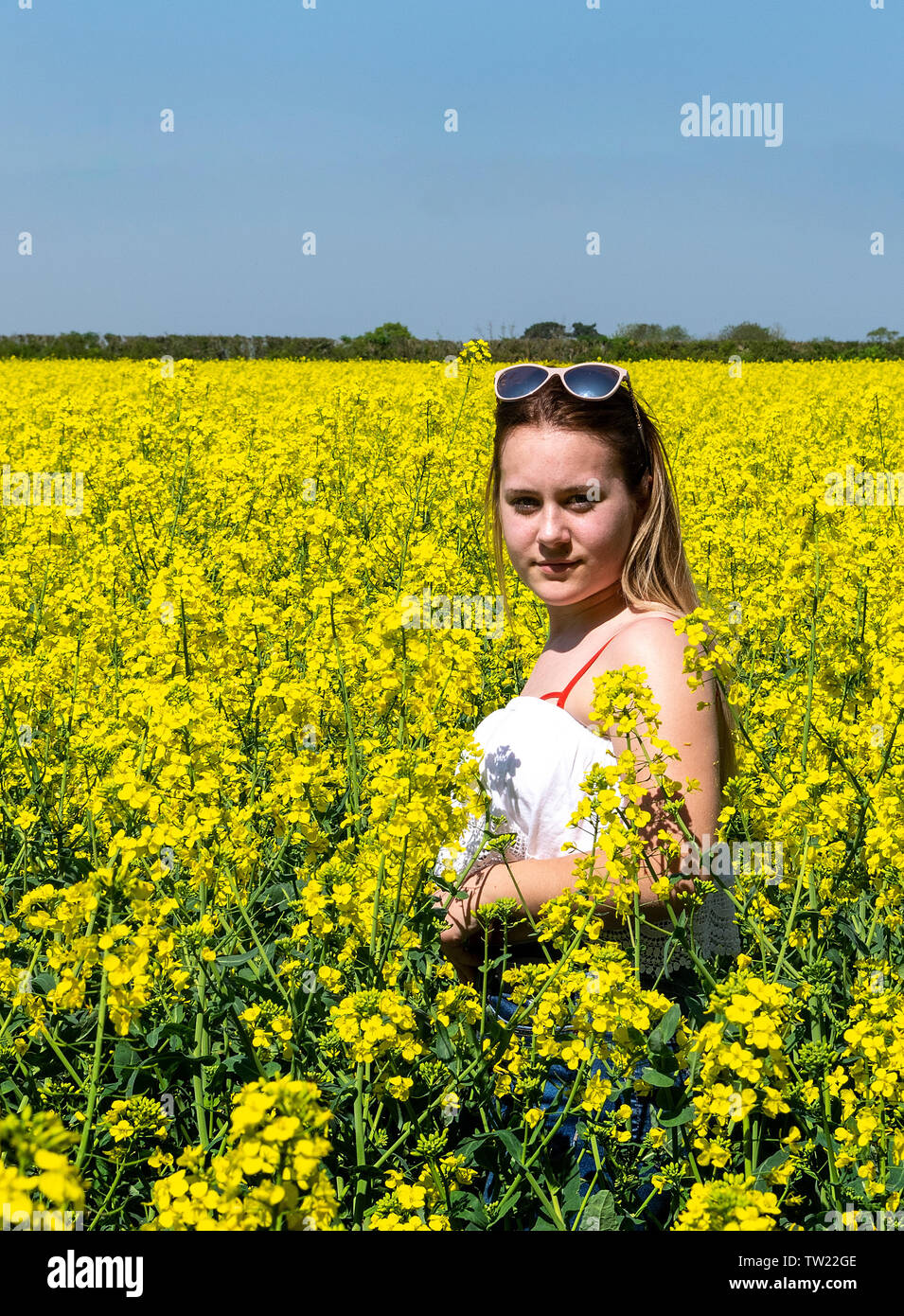 Une jeune adolescente dans un champ de colza, qui est en fleur pleine Banque D'Images