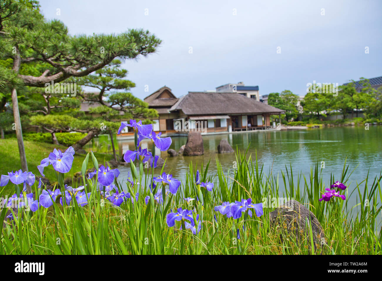 Yokokan est un jardin créé dans la période Edo. Une fois il a servi comme une villa du Matsudairas, l'ancienne famille féodale du domaine de Fukui. Banque D'Images