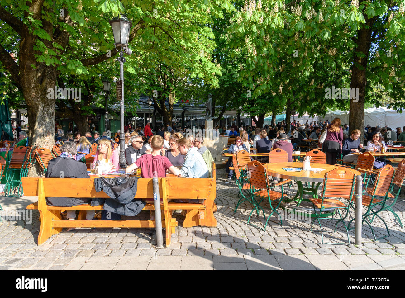 Les personnes bénéficiant d'un repas ou des boissons sous les marronniers en fleurs dans le marché des provisions de Munich, Allemagne sur une journée de printemps ensoleillée Banque D'Images