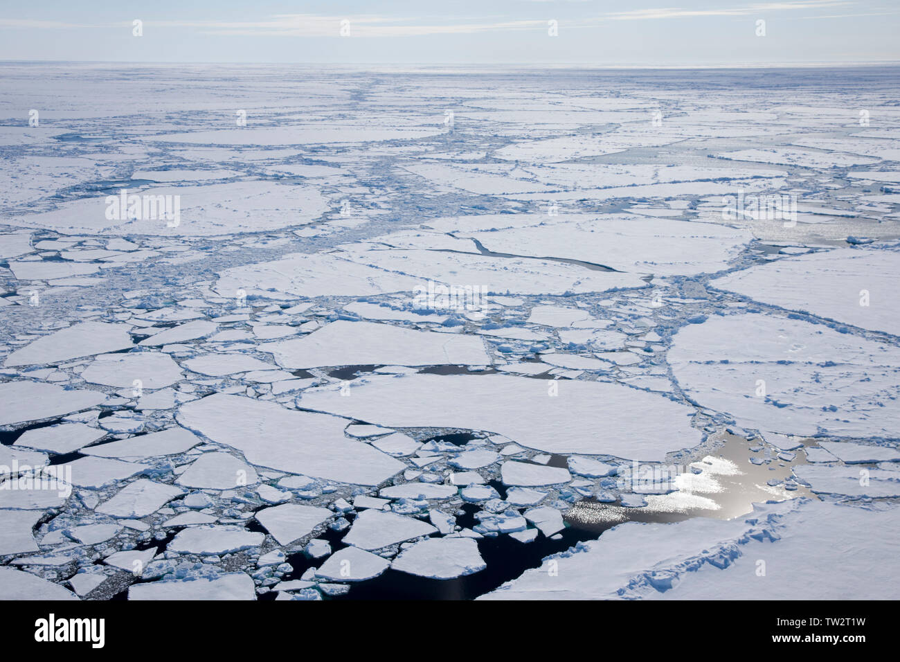 Le plus grand brise-glace nucléaire, 50 ans- de la Victoire, en route vers le pôle Nord. L'Arctique russe, Juillet 2008 Banque D'Images Le plus grand brise-glace nucléaire, 50 ans- de la Victoire, en route vers le pôle Nord. L'Arctique russe, Juillet 2008 Banque D'Images