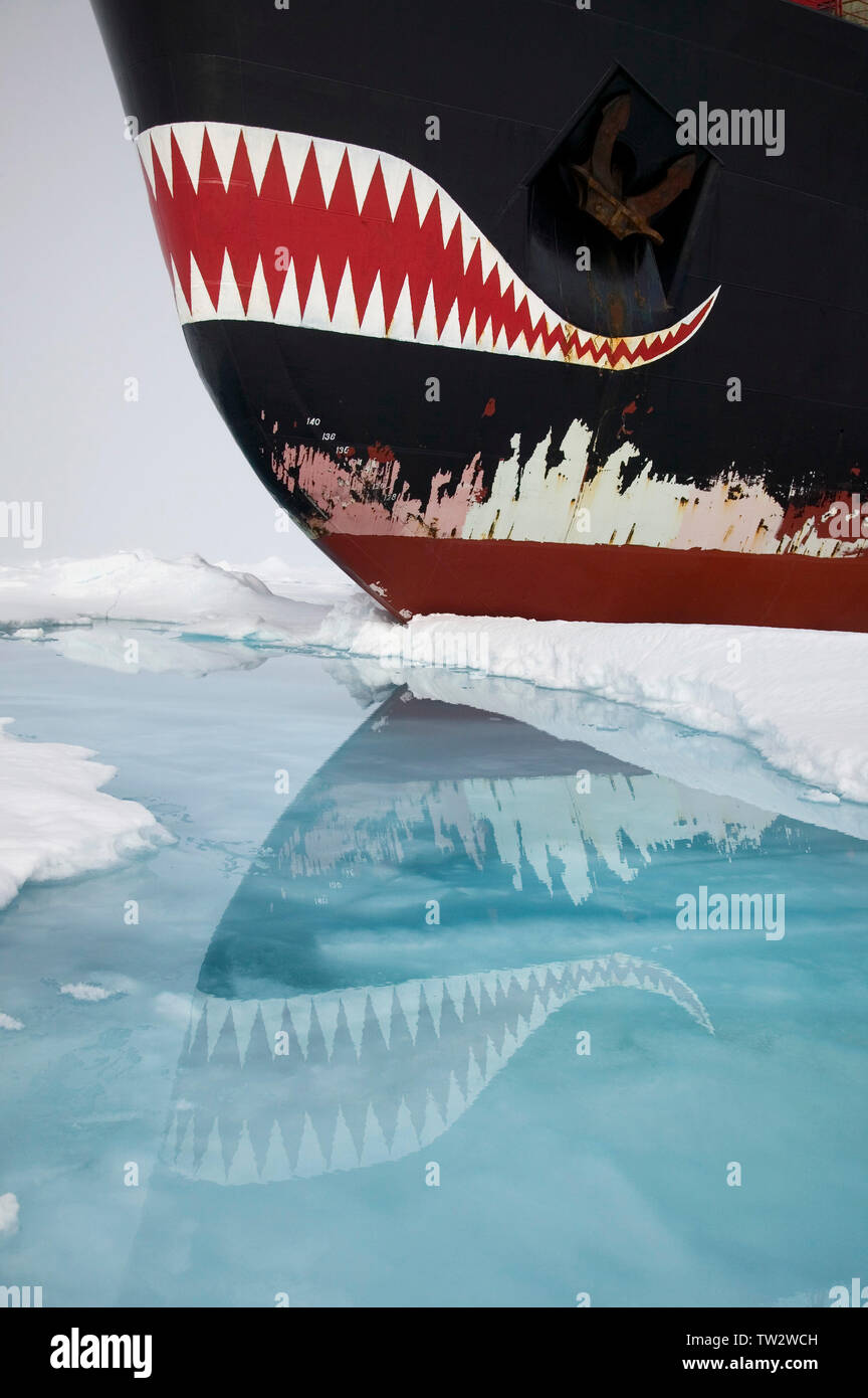 Brise-glace nucléaire russe à Yamal, Pôle Nord, par des réflexions de dents de requin distinctif sur la proue. Banque D'Images Brise-glace nucléaire russe à Yamal, Pôle Nord, par des réflexions de dents de requin distinctif sur la proue. Banque D'Images