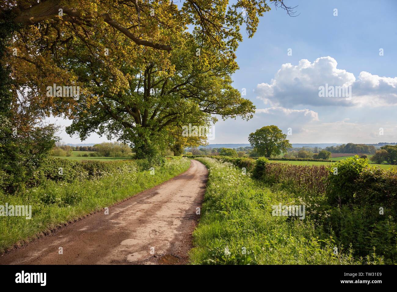 Cotswold country lane près de Chipping Campden, Gloucestershire, Angleterre. Banque D'Images