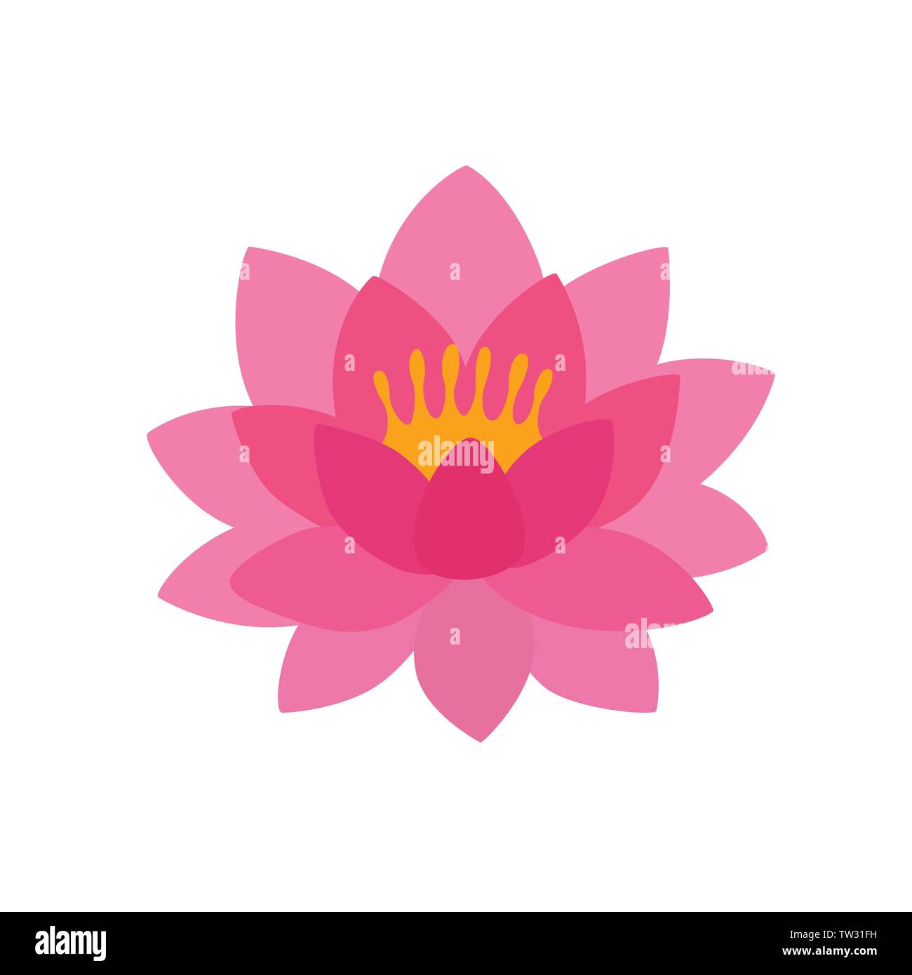 Jolie rose fleur de lotus ou nénuphar Illustration de Vecteur
