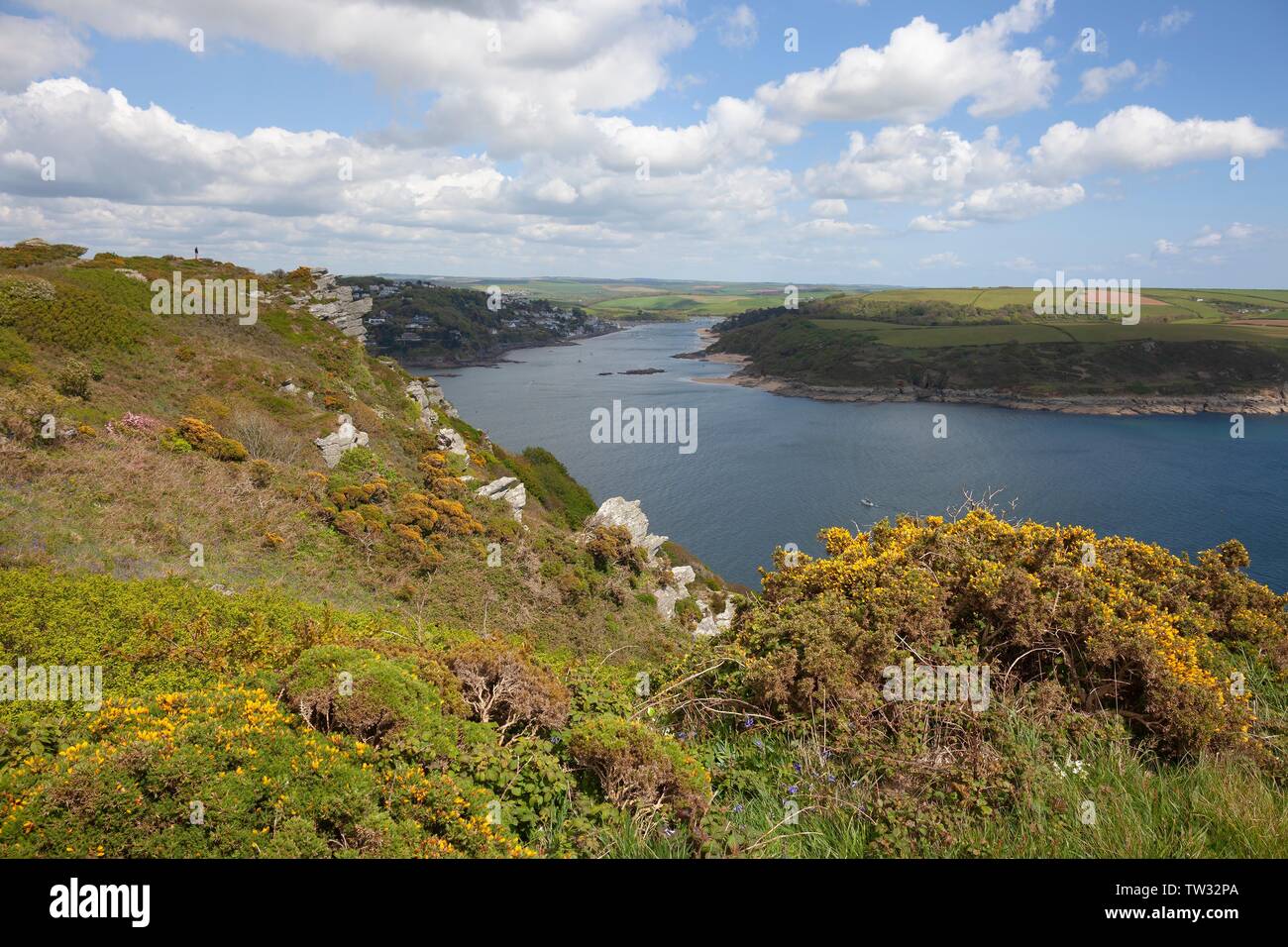 Vue vers Salcombem Devon, Angleterre. Banque D'Images