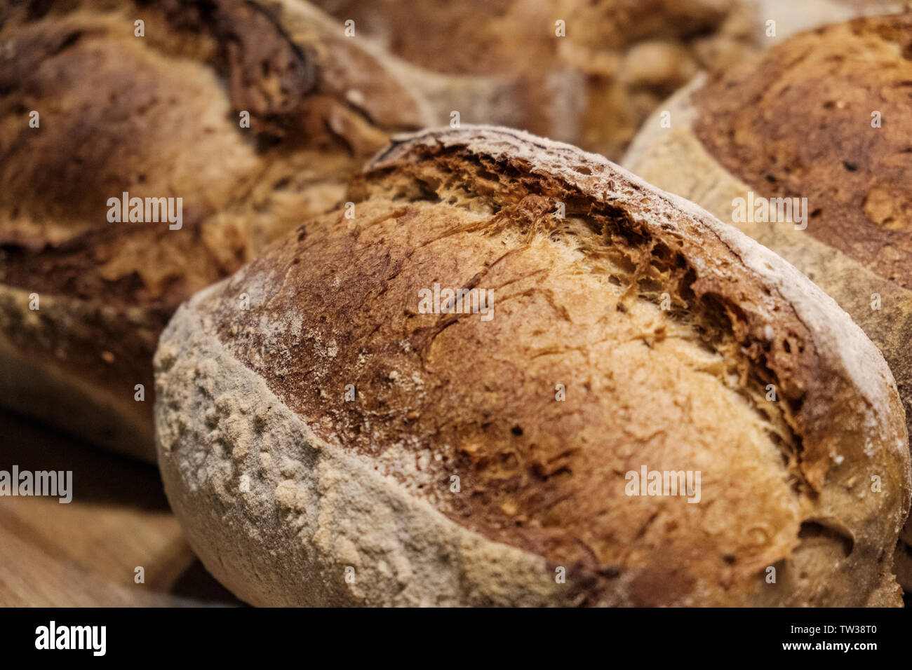 Close up of home made multigrain, pain au levain italien professionnel boulangerie chaude isolée juste sorti du four chauffé au bois sain vieux style traditi Banque D'Images