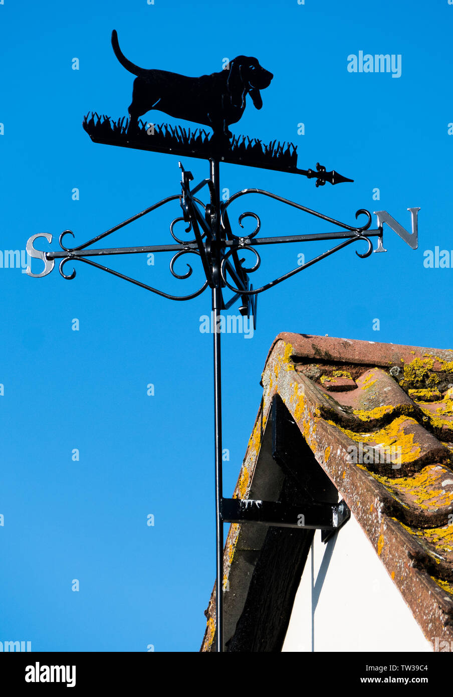 Un black métal peint, girouette, attaché à la fin d'un toit de maison, dans la forme d'une silhouette basset hound dog, contre un ciel bleu clair. Banque D'Images