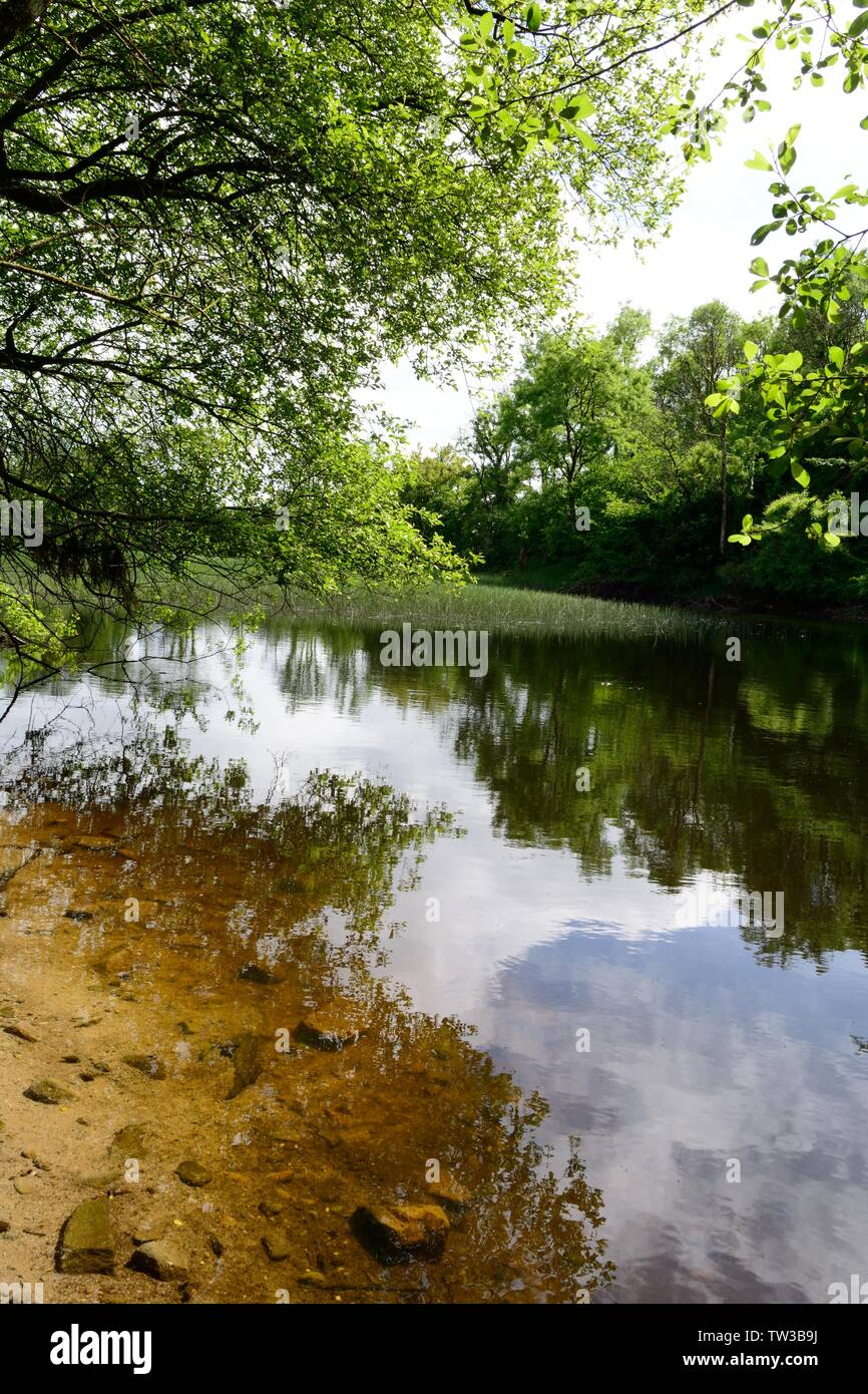 Pant y Llyn turlough disparaître le seul lac turlough en Grande-Bretagne Carmel Nature Reserve Carmarthenshire Cymru Wales UK Banque D'Images