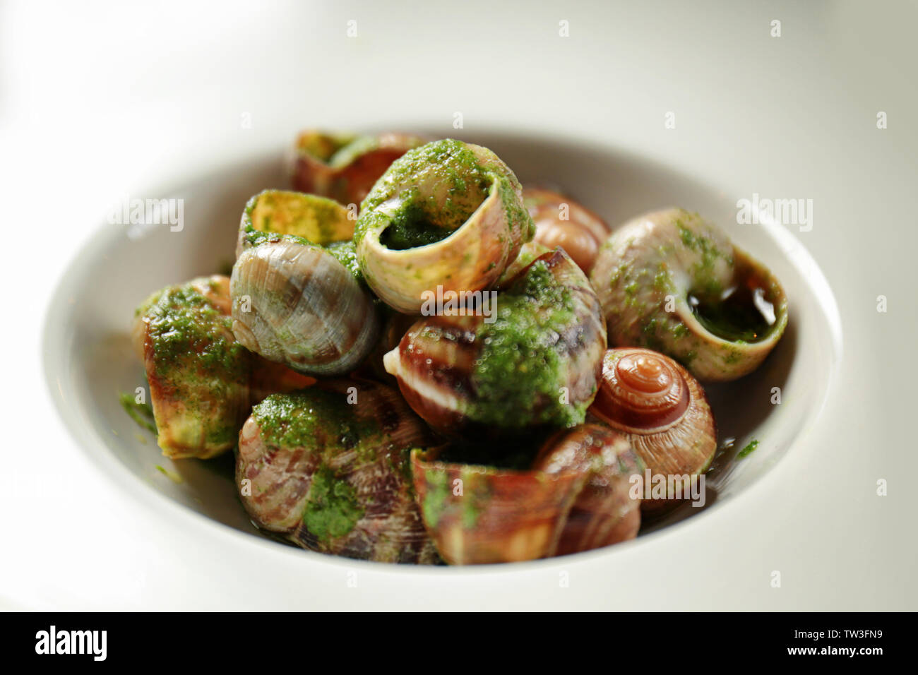 Plaque avec de délicieux escargots à la sauce verte, gros plan Photo Stock  - Alamy