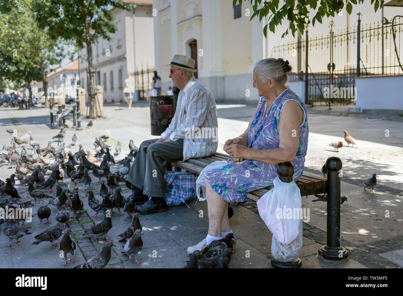 Belgrade, Serbie, 16 juin 2019 : Un vieux couple coin sur un banc entouré de pigeons à la place Masaryk (TRG) Masarikov à Zemun Banque D'Images