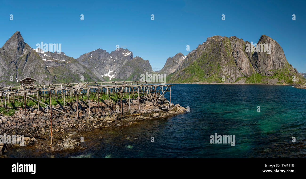 Le séchage du poisson à la manière traditionnelle en plein air sur le rayonnage, Reine, îles Lofoten, Norvège. Banque D'Images