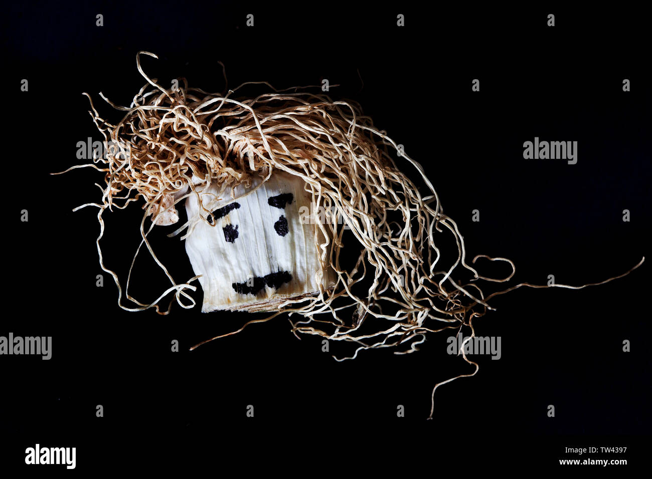 Tête de poireau. Banque D'Images