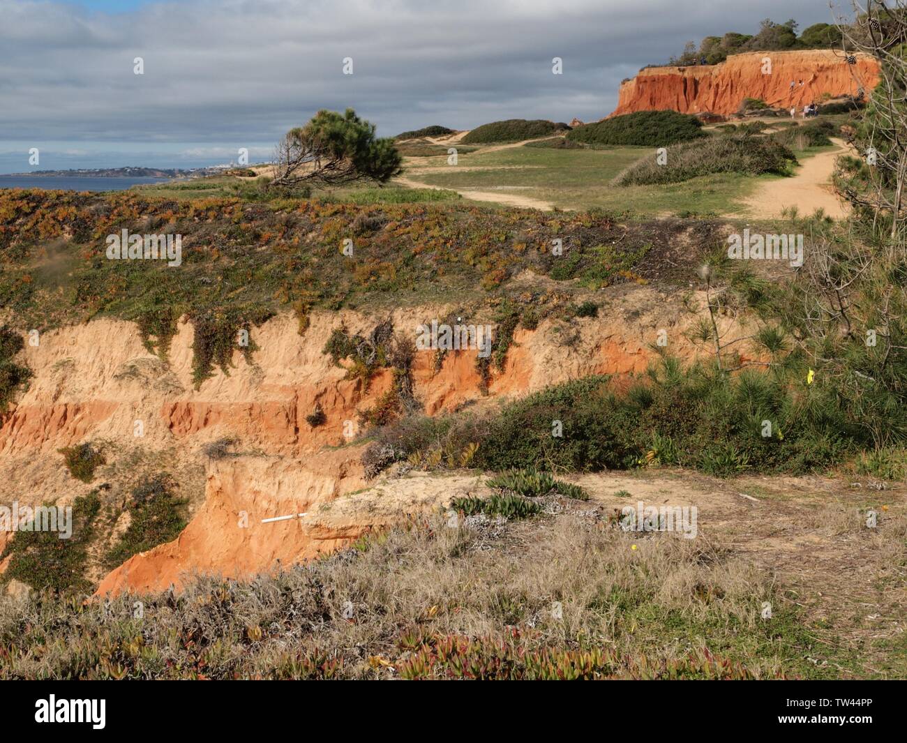 De hautes falaises rouges et la nature sauvage à Paraia da Falesia, un célèbre Paradise beach à Albufeira à la côte de l'Algarve du Portugal Banque D'Images