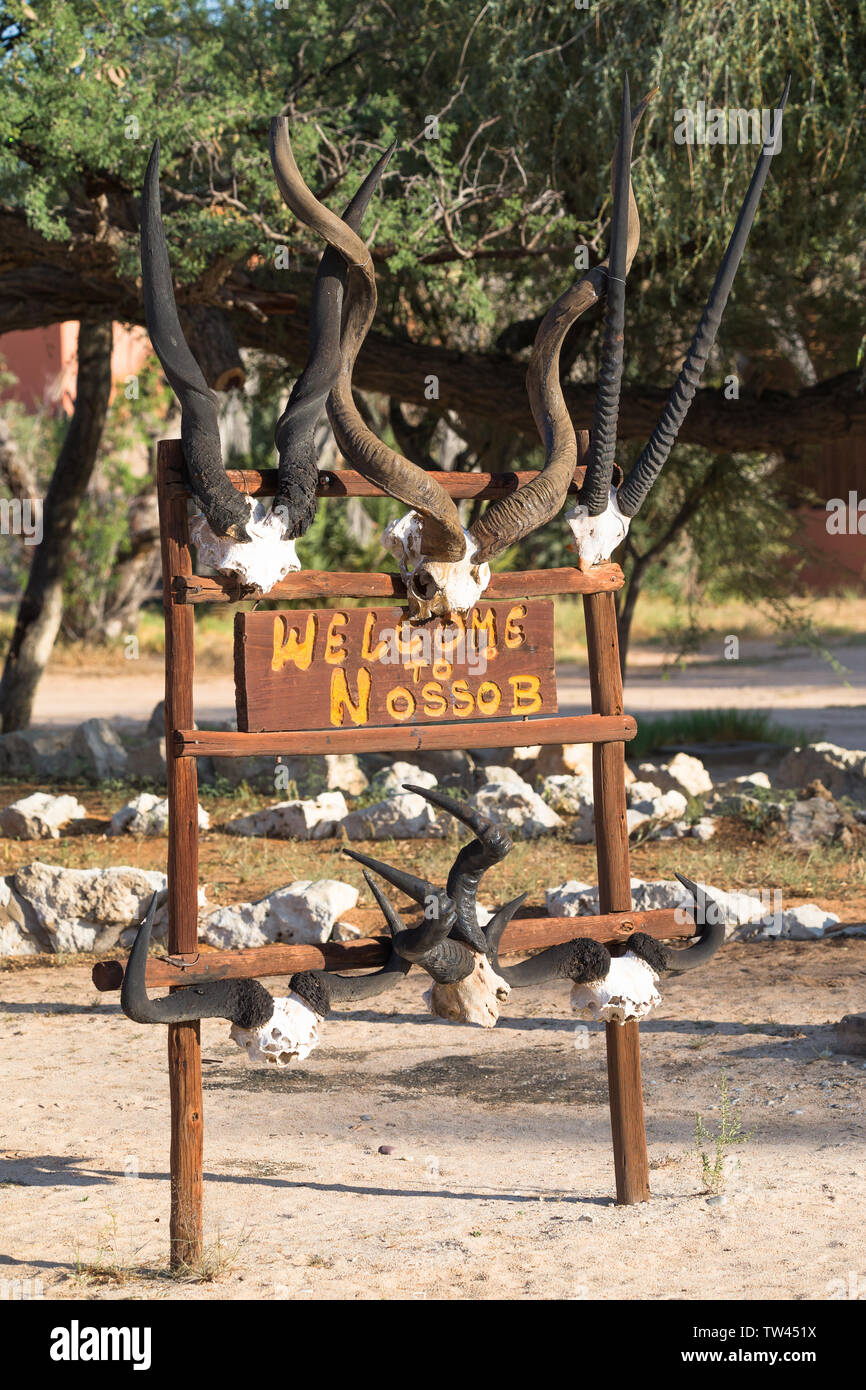 Bienvenue à Nossob rest camp un panneau ou un avis de sélection à l'extérieur à l'entrée principale du parc transfrontalier de Kgalagadi en Afrique du Sud, l'affichage de crânes d'animaux Banque D'Images