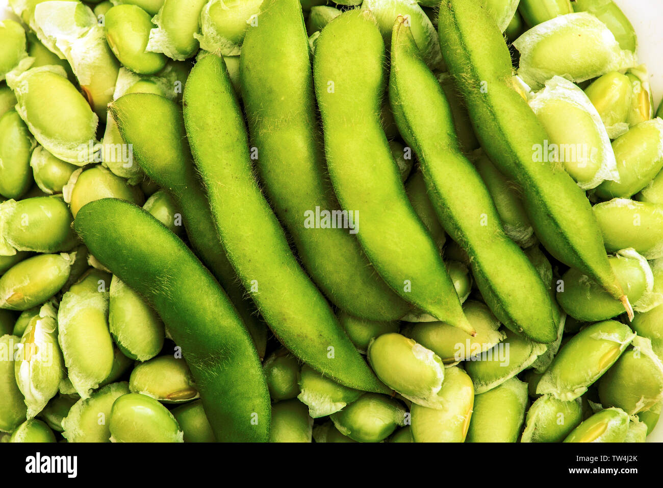 Edamame soja frais Banque D'Images