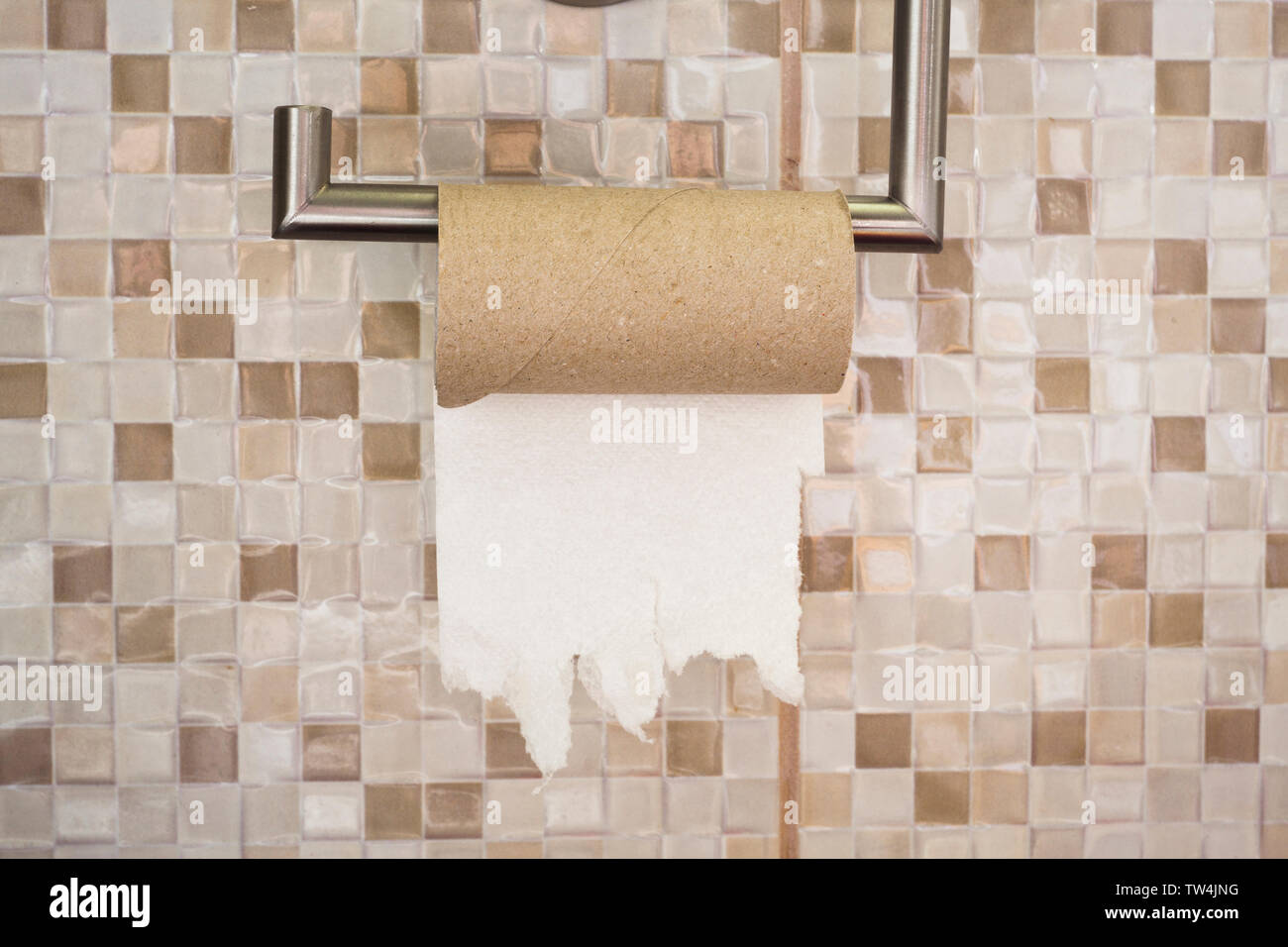 Rouleau vide de papier toilette dans la salle de bains. Le concept de fin Banque D'Images